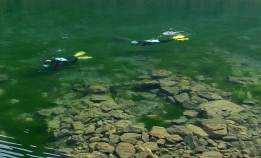 Unik vinkel på populært dykkemål