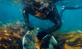 Klart for VM i kråkebollejakt