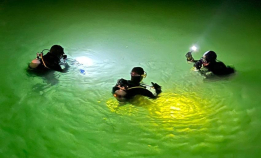 Neste uke åpner Diversnight