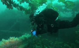 D/S Romanby i Narvik havn