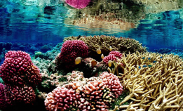 Livsnødvendige leieboere i fare