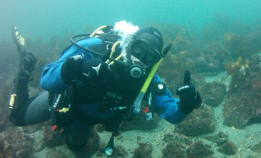 Ta PADI Open Water i Ålesund i juni