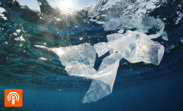 Hva kan gjøres med plast i havet?