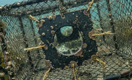 Nytt krav til rømmingshull