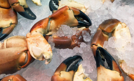 Bare to prosent synes det er greit