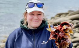 Kos deg med Havkontoret