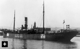 D/S Begonia: Senket av norske styrker