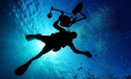 BBC ber om tips fra dykkere