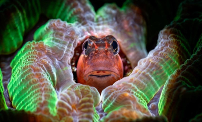 Bli med i Ocean Art 2025