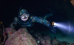 Gratis webinar om nattdykking