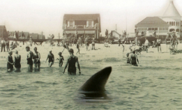 Haisommeren i Jersey i 1916