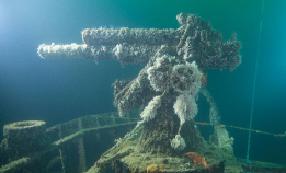 Tre vrak du kan dykke i juni