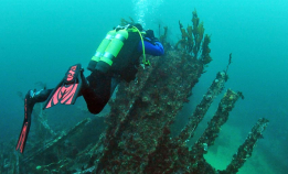 Vraket av D/S Flint i Rystraumen