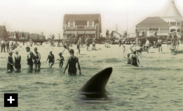 Haisommeren i Jersey i 1916