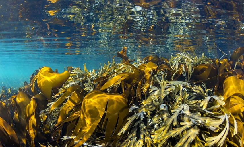 Kraftigste på minst 30 år