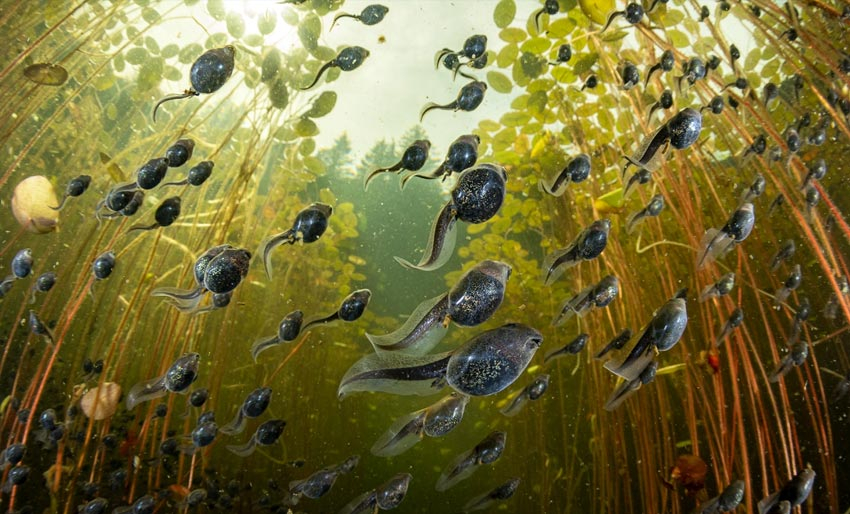 Husk deadline i denne konkurransen