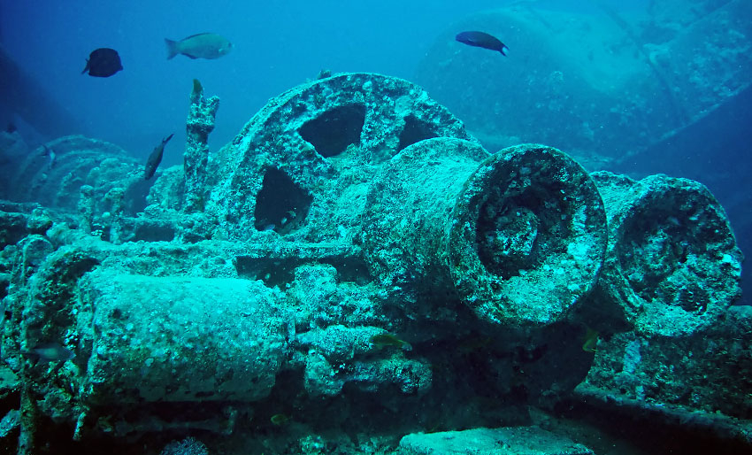 Get Wrecked – dykk 12 vrak i Rødehavet