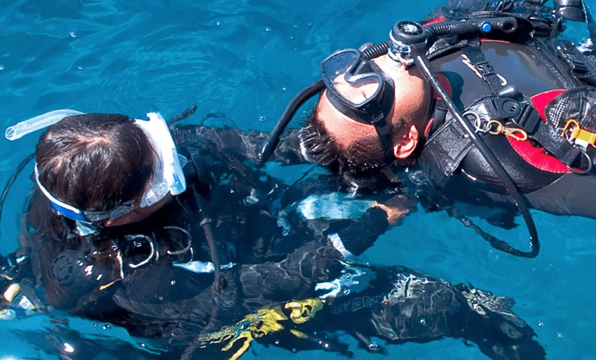 Ta PADI Rescue Diver hos Nemo