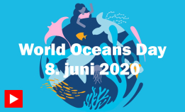 World Oceans Day 2020