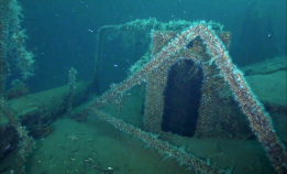 Se video: D/S Begonia