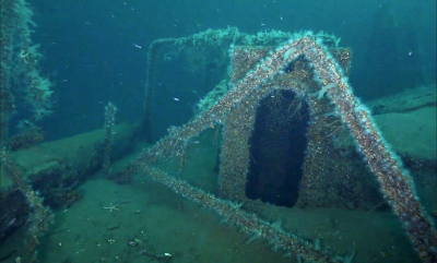 Se video: D/S Begonia