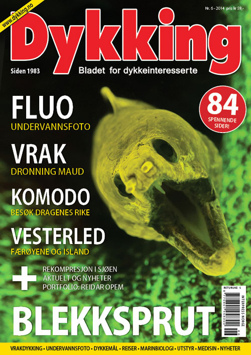 Dykking 6/2014