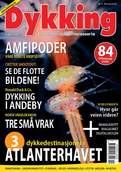 Dykking 2/2016